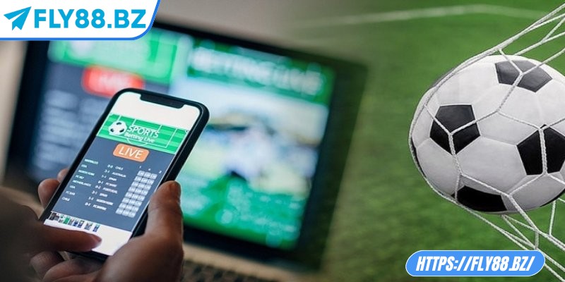 Đôi nét về cách ra kèo của nhà cái cho người mới