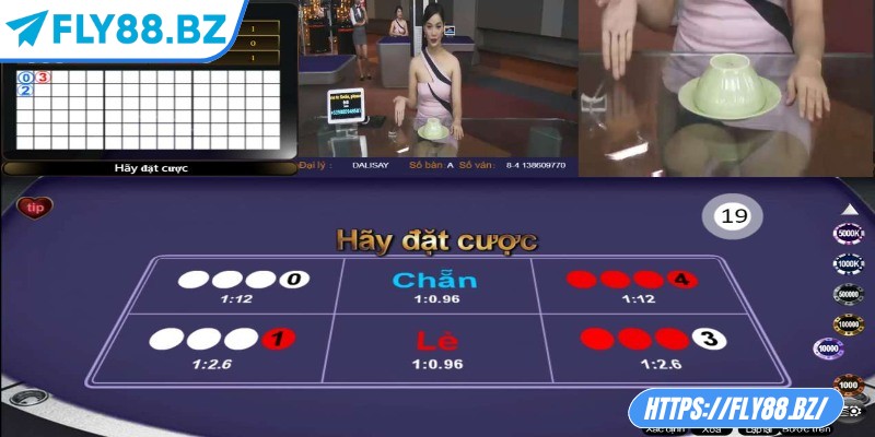 Các thuật toán xóc đĩa hay được áp dụng